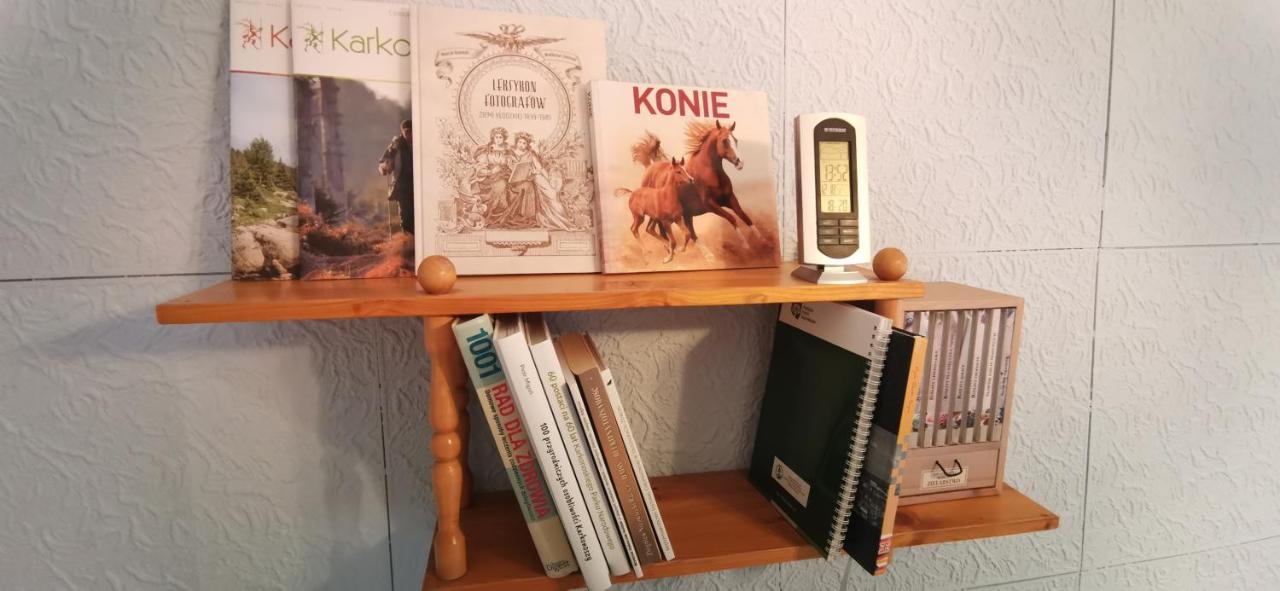 Apartament Milka W Dusznikach Zdroju Duszniki Zdrój Εξωτερικό φωτογραφία