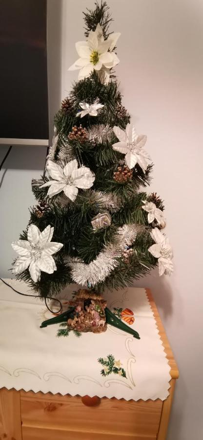 Apartament Milka W Dusznikach Zdroju Duszniki Zdrój Εξωτερικό φωτογραφία