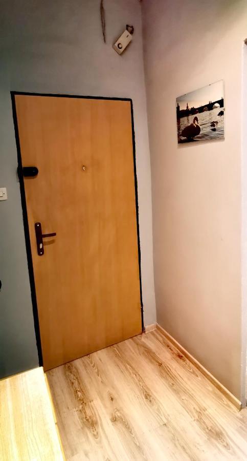 Apartament Milka W Dusznikach Zdroju Duszniki Zdrój Εξωτερικό φωτογραφία
