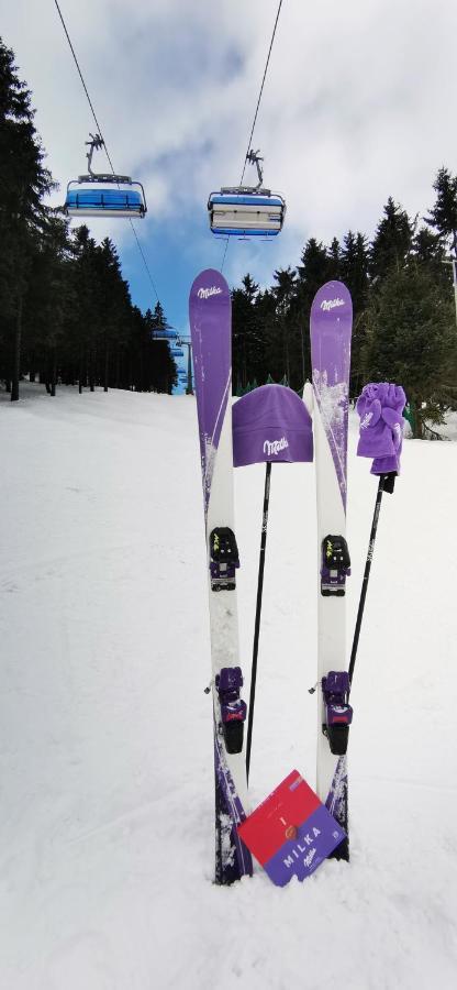 Apartament Milka W Dusznikach Zdroju Duszniki Zdrój Εξωτερικό φωτογραφία