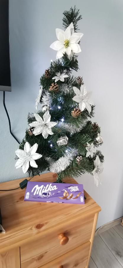 Apartament Milka W Dusznikach Zdroju Duszniki Zdrój Εξωτερικό φωτογραφία